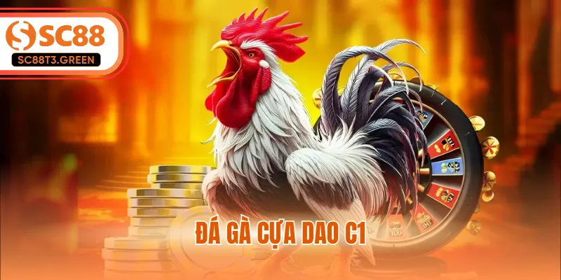 Đá Gà Cựa Dao C1 - Những Cuộc Đối Đầu Chiến Kê Nảy Lửa