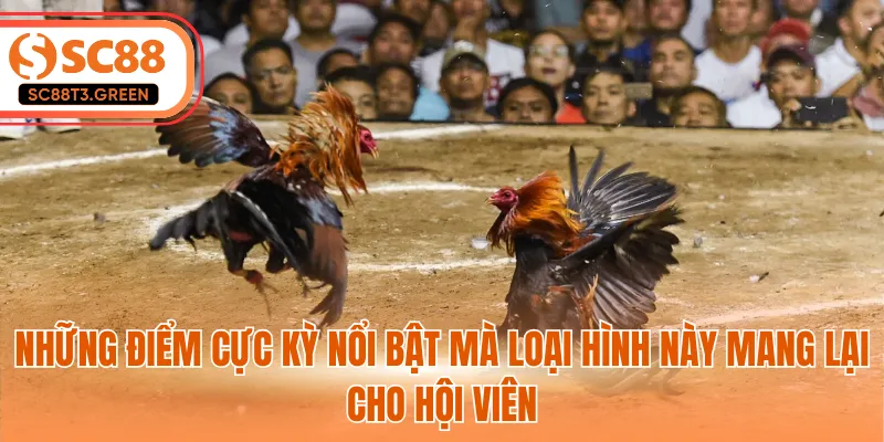 Những điểm cực kỳ nổi bật mà loại hình này mang lại cho hội viên